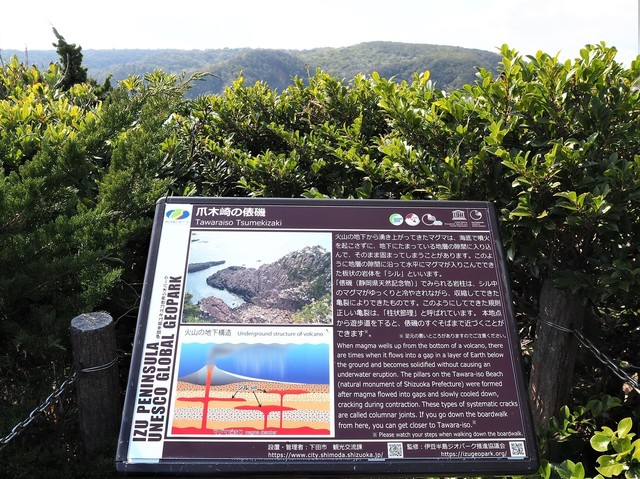P3081831 (2).JPG