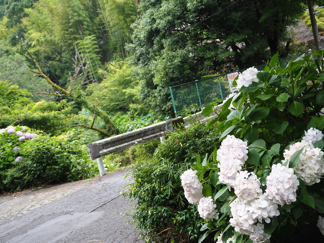 P6235920.JPG