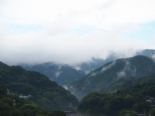 P7220889.JPG